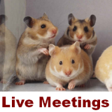 Live HAMS meetings